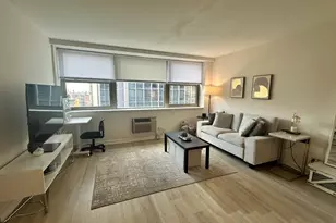 253 E Delaware Pl, Chicago, IL 60611 - Photo 1