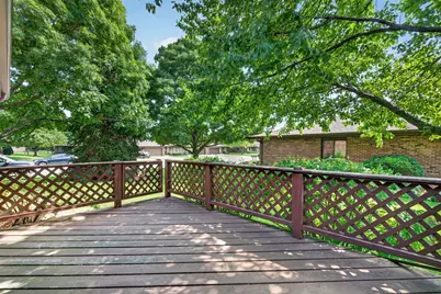 914 Shagbark Road, New Lenox, IL 60451 - Photo 26