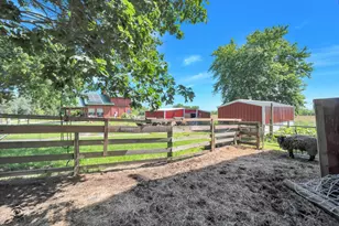 3663 W Church Rd, Beecher, IL 60401 - Photo 42