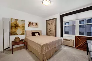 850 N Dewitt Pl, Chicago, IL 60611 - Photo 26