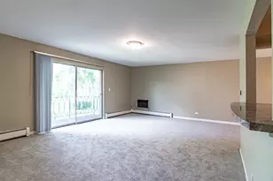 711 E Falcon Dr, Arlington Heights, IL 60005 - Photo 4