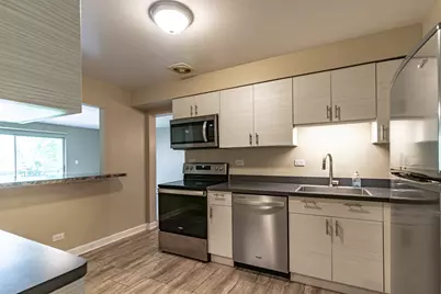 711 E Falcon Drive #201, Arlington Heights, IL 60005 - Photo 10