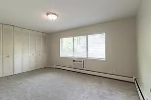 711 E Falcon Dr, Arlington Heights, IL 60005 - Photo 12