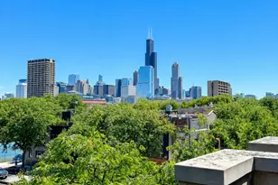 1137 W Taylor St, Chicago, IL 60607 - Photo 2