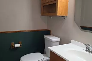 407 Spaulding Rd, Bartlett, IL 60103 - Photo 24