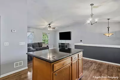 24903 W Oak Avenue, Lake Villa, IL 60046 - Photo 8
