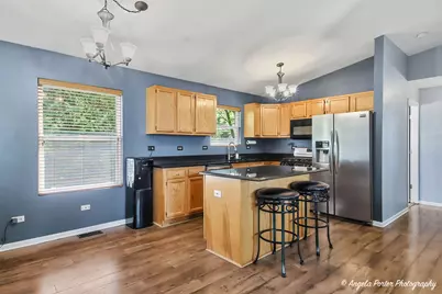 24903 W Oak Avenue, Lake Villa, IL 60046 - Photo 6