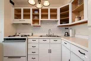 3001 S Michigan Ave, Chicago, IL 60616 - Photo 6