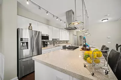 10621 Dani Lane #40621, Orland Park, IL 60462 - Photo 10