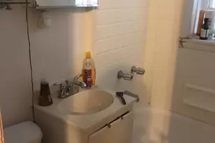 1042 W George St, Chicago, IL 60657 - Photo 10