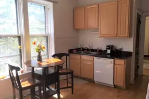 2906 N Greenview Ave, Chicago, IL 60657 - Photo 8