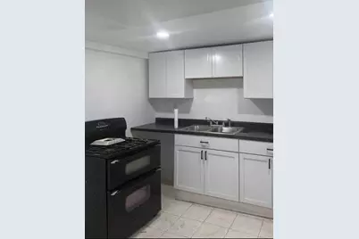 3931 W Grenshaw Street, Chicago, IL 60624 - Photo 10