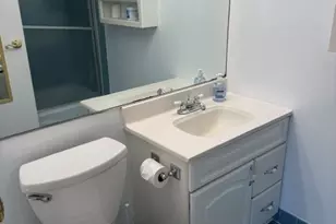 16 E Old Willow Rd, Prospect Heights, IL 60070 - Photo 10