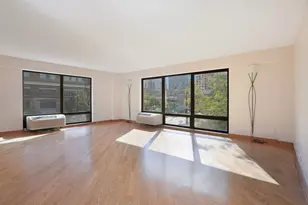 1169 S Plymouth Ct, Chicago, IL 60605 - Photo 2