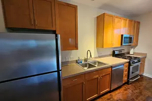 1244 S Blue Island Ave, Chicago, IL 60608 - Photo 10
