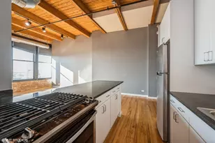 728 W Jackson Blvd, Chicago, IL 60661 - Photo 6