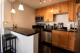 1455 N Sandburg Terrace, Chicago, IL 60610 - Photo 6