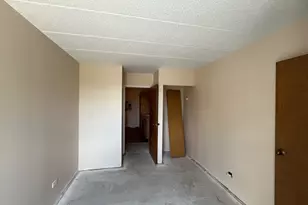 606 E Woodland Park Ave, Chicago, IL 60616 - Photo 4