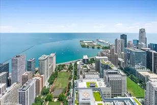 161 E Chicago Ave, Chicago, IL 60611 - Photo 38