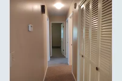 315 Circle Drive, Vienna, IL 62995 - Photo 12