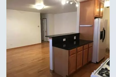 313 Elgin Avenue #203, Forest Park, IL 60130 - Photo 4