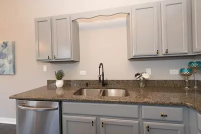 20176 Ash Lane, Lynwood, IL 60411 - Photo 10