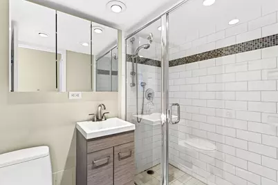 1355 N Sandburg Terrace #2902D, Chicago, IL 60610 - Photo 16