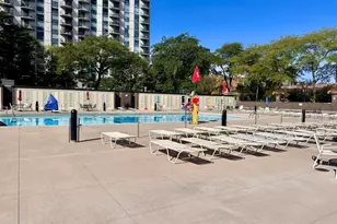 1355 N Sandburg Terrace, Chicago, IL 60610 - Photo 28