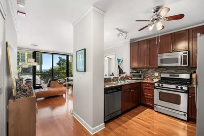 201 N Westshore Drive #604, Chicago, IL 60601 - Photo 8