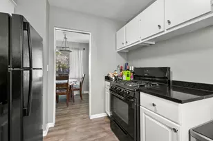 223 S West St, Naperville, IL 60540 - Photo 8