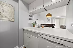 1060 N Mill St, Naperville, IL 60563 - Photo 12
