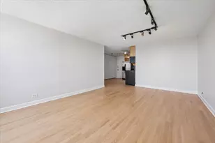 720 W Gordon Terrace, Chicago, IL 60613 - Photo 10