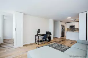 155 N Harbor Dr, Chicago, IL 60601 - Photo 20