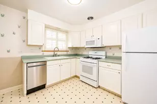 408 S Albert St, Mount Prospect, IL 60056 - Photo 20