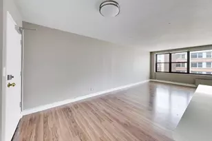 850 N Dewitt Pl, Chicago, IL 60611 - Photo 8