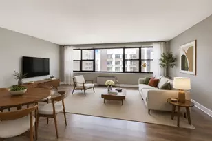 850 N Dewitt Pl, Chicago, IL 60611 - Photo 2