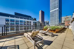 850 N Dewitt Pl, Chicago, IL 60611 - Photo 28