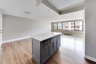 850 N Dewitt Pl, Chicago, IL 60611 - Photo 12