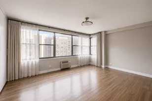 850 N Dewitt Pl, Chicago, IL 60611 - Photo 18