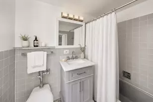 850 N Dewitt Pl, Chicago, IL 60611 - Photo 20