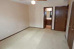 8101 Braeburn Ln, Orland Park, IL 60462 - Photo 18
