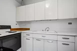 340 W Diversey Pkwy, Chicago, IL 60657 - Photo 4