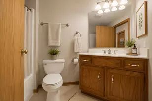 1153 Linden Cir, Beecher, IL 60401 - Photo 28