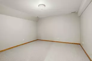 1153 Linden Cir, Beecher, IL 60401 - Photo 26