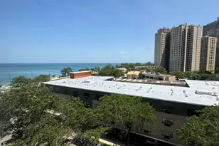 4800 S Chicago Beach Dr, Chicago, IL 60615 - Photo 8