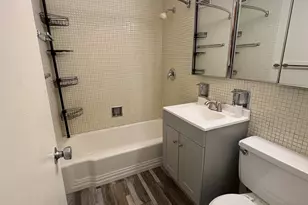 4800 S Chicago Beach Dr, Chicago, IL 60615 - Photo 10