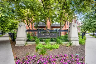1033 W 14th Pl, Chicago, IL 60608 - Photo 42
