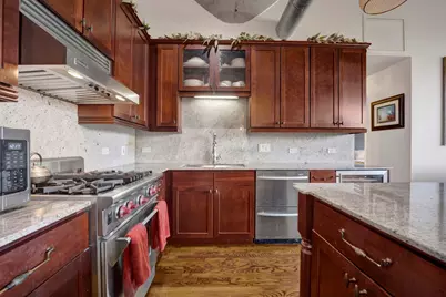 1033 W 14th Place #318, Chicago, IL 60608 - Photo 10