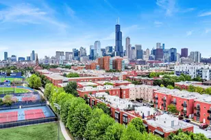 1033 W 14th Pl, Chicago, IL 60608 - Photo 40