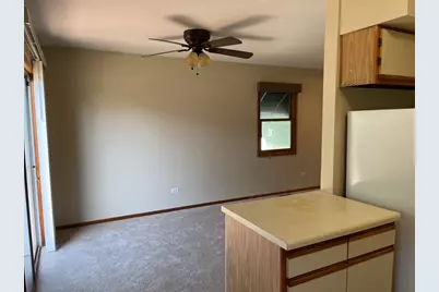 352 College Street, Crystal Lake, IL 60014 - Photo 8